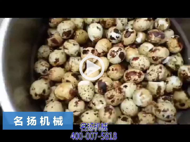 鵪鶉蛋剝殼機(jī)4