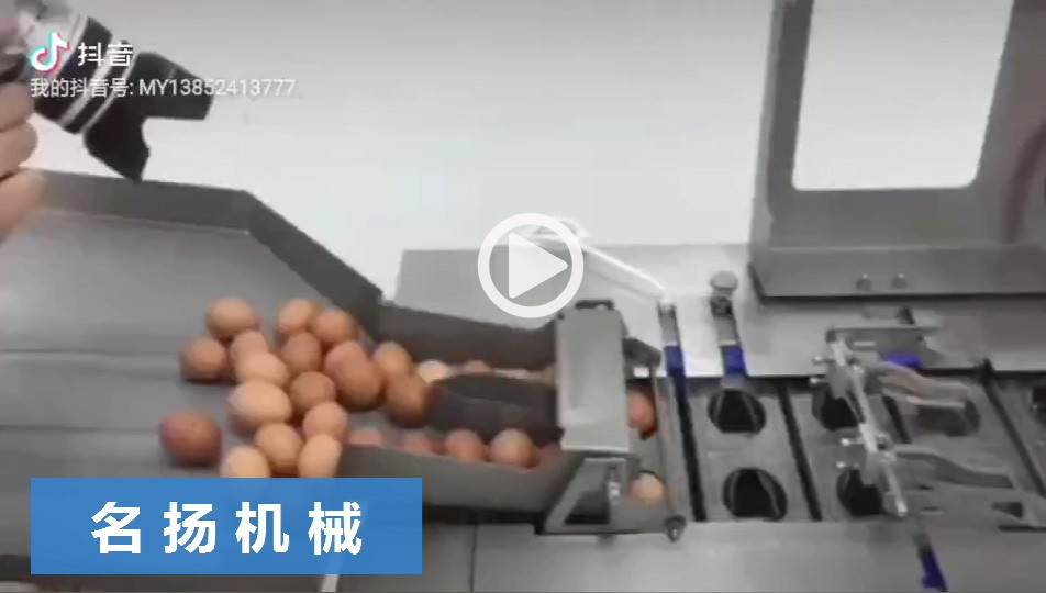 蛋液分離機(jī)