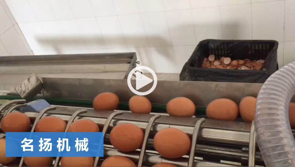 圓盤式蛋液分離機(jī)